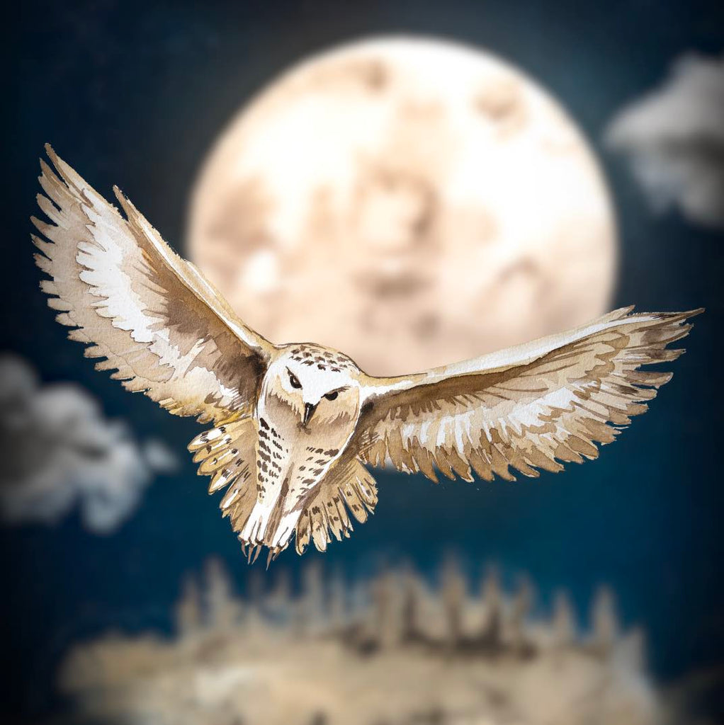 Owl flying towards camera with the moon in the background