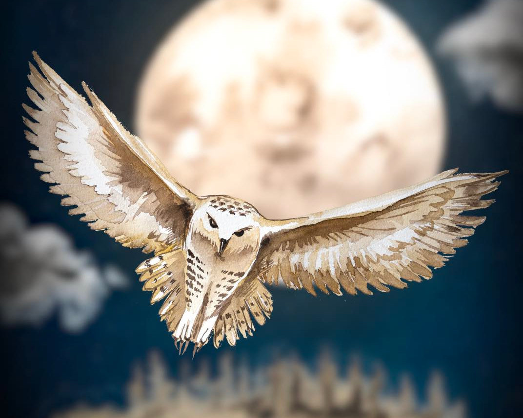 Owl flying infront of moon
