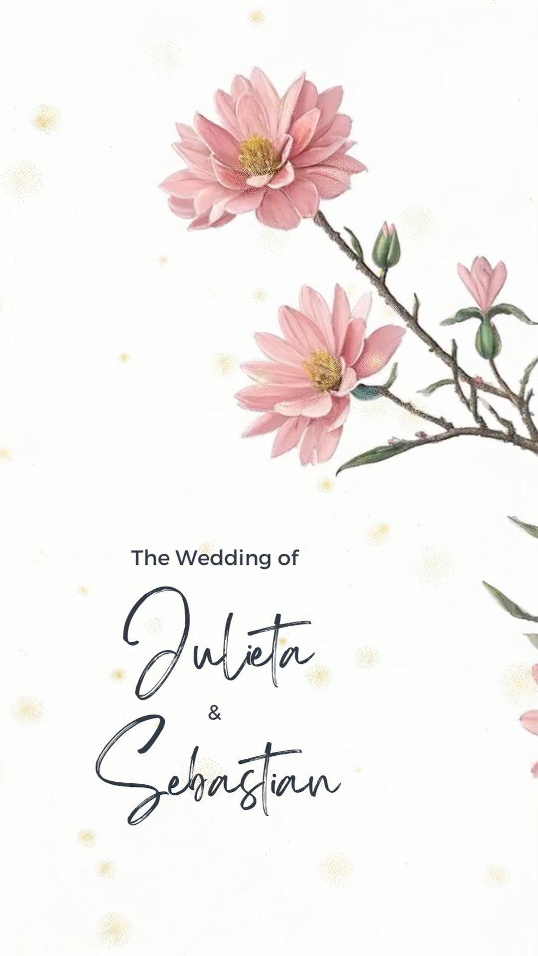 Pink daisy's in oil painting come our from the side of screen, with a white background.