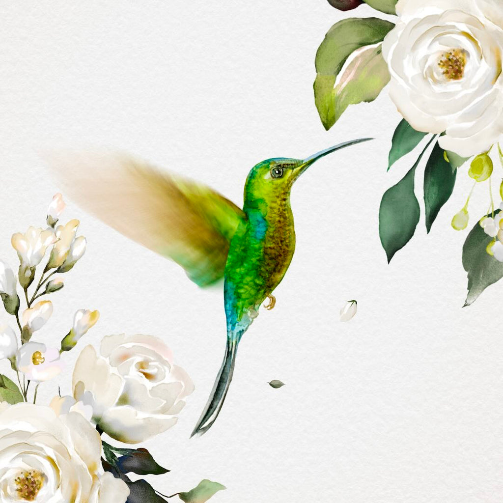 Hummingbird flying next to beautiful white illustrated flowers.