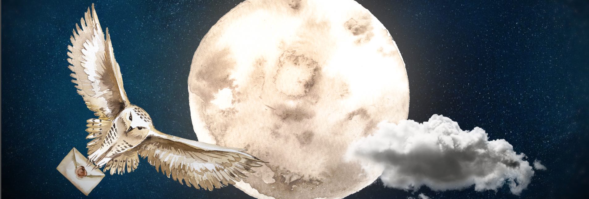 Harry Potter Halloween