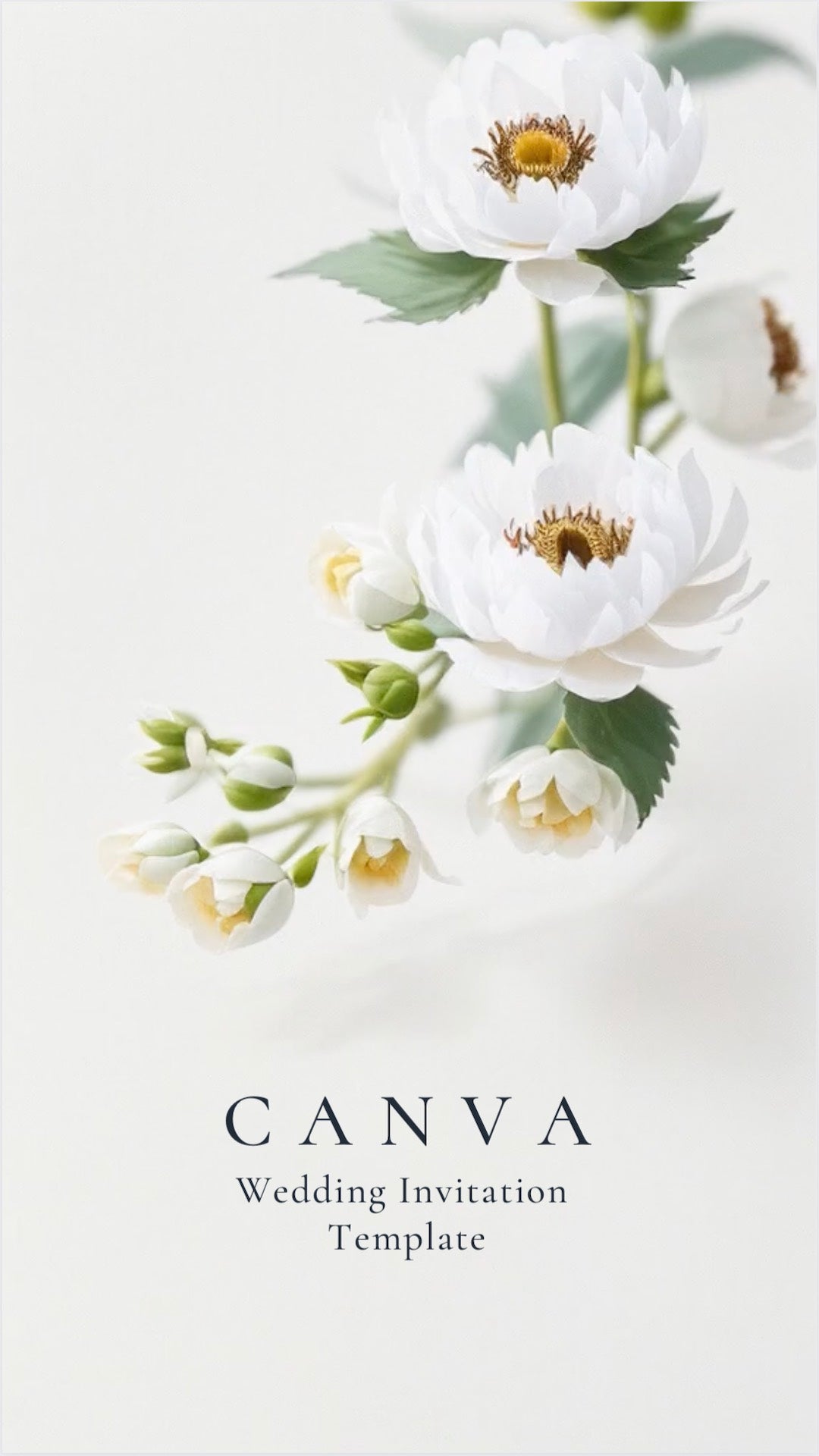 Beautiful White Peony Flowers are in a garden with Wedding Invitation text surrounding the flowers. A single butterfly hovers above the flowers.